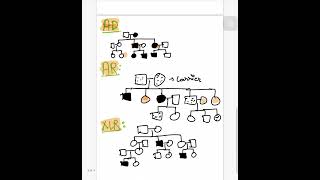 DAY 2 PEDIGREE ANALYSIS [upl. by Boswall]