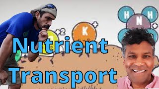 Cation Exchange Vs Nutrient Transport in plants [upl. by Dickenson681]