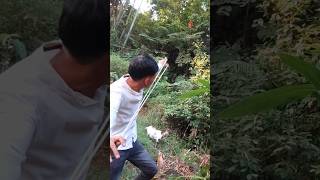 slingshot shortvideo hunting ná cao su [upl. by Faustena]