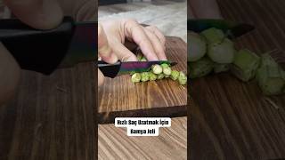 Bamya bamyajeli okra food saç hair saçbakımı [upl. by Docila]