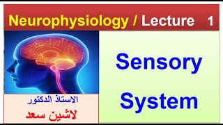 Sensory receptorslLashin دلاشين [upl. by Meehan]