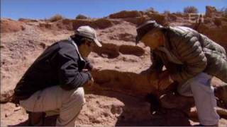 Jack Hanna at explora Atacama Into the Wild TV Show [upl. by Tandi]