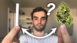 LE CANNABIS EST MOINS DANGEREUX QUE LE TABAC  Vrai ou Faux 49 [upl. by Nikos296]