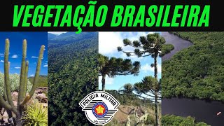 Vegetação Brasileira  Geografia  Concurso PM SP [upl. by Ahseryt]