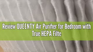 Review QUEENTY Air Purifier for Bedroom with True HEPA Filter Portable HEPA Air Purifier for Office [upl. by Reinold]