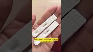 Gebelik testi nasıl çalışır  hCG  human Chorionic Gonadotropin [upl. by Buseck533]