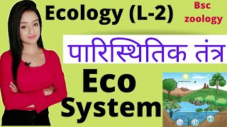 Ecology L2 Ecosystem in hindi bsc zoology  knowledge adda aquatic ecosystem forest ecosystem [upl. by Sell]