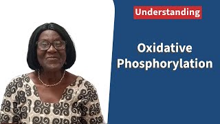 Oxidative Phosphorylation [upl. by Auqenwahs]