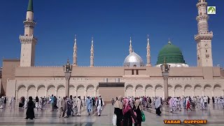 Saudi Arabia Travel Masjid Nabawi Walk in amp Out [upl. by Bael]