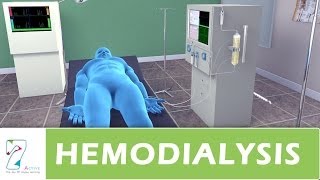 Hemodialysis [upl. by Phillipp]