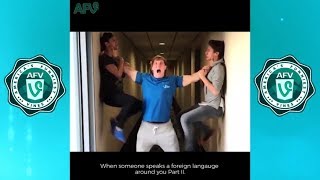 Ultimate Logan Paul Vines amp Instagram Videos wtitles [upl. by Zirtaeb310]