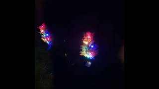 xmas garden lights temu basket fillers wonder if i can get nebuliser off there turn sound down lol [upl. by Mmada]