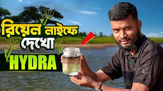 “হাইড্রার সাথে রিয়েল লাইফে পরিচিত হও 🔥  See Hydra Like Never Before  ✅ Real Hydra viridissima [upl. by Nnylakcaj203]