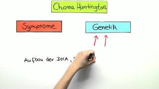 Chorea Huntington  Biologie  Genetik [upl. by Tonkin]