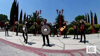 Mariachi Platino de México  A través del vaso [upl. by Ellenrahc]