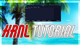 How to install and use KRNL Tutorial  Discord [upl. by Kylander402]