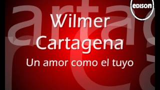 Wilmer Cartagena Un amor como el tuyo [upl. by Torr452]