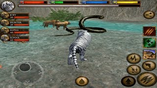 🐅Furious Tiger VS Angry Giant Anaconda Ultimate Jungle Simulator [upl. by Nylirrehs]