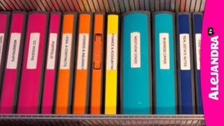 Binder Organization  Best Binders amp Dividers to Use for Home Office or School Papers [upl. by Alam]