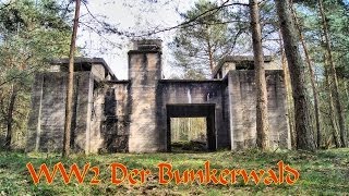 Teil 3 Im Bunkerwald der Wehrmacht  Geheimnisvolle Orte [upl. by Yssep]