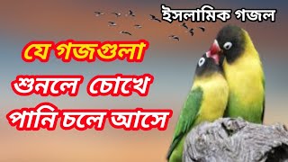 বাছাই করা ২০২৩ সালের নাতে রাসুল  15টি ইসলামিক গজল  কুকিল কন্ঠের গজল  মক্তবে মাদ্রাসা গজল [upl. by Sitoiganap]