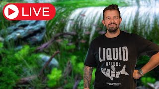 Aquascaping QampA Livestream [upl. by Dyane]