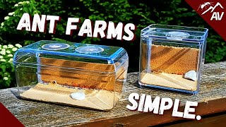 How to make an Ant Farm  DIY Sand Formicarium [upl. by Nonnah]