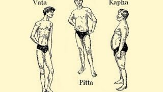 The Ayurvedic Body Types and their Characteristics Vata Pitta Kapha [upl. by Cleave989]