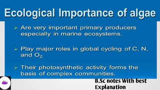 Algae  ECONOMIC IMPORTANCE OF ALGAE  BSc 1 Year Botany Notes  ZBC [upl. by Yuzik698]