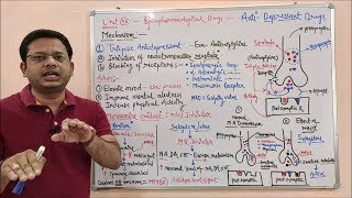 Antidepressant Part 03  Mechanism of Action of MAO Inhibitors and tricyclic Antidepressant [upl. by Esemaj253]