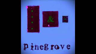 Pinegrove  Need 2 Slowed  Reverb [upl. by Vahe]