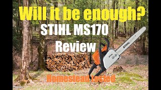 Stihl MS170 review will it homestead [upl. by Nata88]