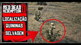 QUININASSELVAGEM COLHIDAS RED DEAD REDEMPTION 2 ONLINE DESÁFIO DIÁRIO XBOXPS4PS5PC [upl. by Carothers165]