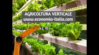 INVESTIRE IN AGRICOLTURA MODERNA VERTICALE IDROPONICA QUANTO COSTA [upl. by Ainej]