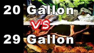 29 Gallon Aquarium vs 20 Gallon Long Aquarium Which is Best [upl. by Gloria686]