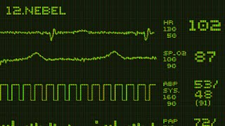 Rammstein  Nebel Instrumental Cover Remastered feat Reina Red [upl. by Ilah]