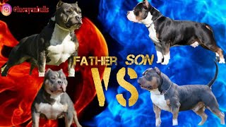 Would you Breed to the Father or the Son [upl. by Alaik569]