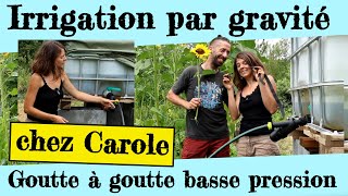 Le goutte à goutte basse pression de Carole Arrosage par gravité [upl. by Artnoed786]