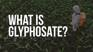 EWG Explains Glyphosate [upl. by Karrah671]