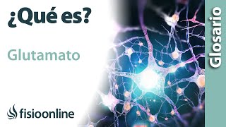 GLUTAMATO  Qué es cuál es su función dónde se encuentran e importancia para el cuerpo [upl. by Leban]