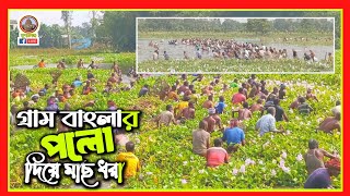 গ্রামিন ঐতিহ্যবাহি quotপলোquot দিয়ে মাছ ধরার উৎসব  Polo Fishing Festival [upl. by Nwahsan]