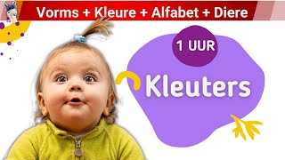 Les 4 Vorms  Kleure  Alfabet  Diere kleuters lami afrikaans [upl. by Adnarym]