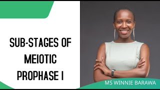 SUBSTAGES OF PROPHASE I OF MEIOSIS LEPTOTENE ZYGOTENE PACHYTENE DIPLOTENE DIAKINESIS [upl. by Bohs]