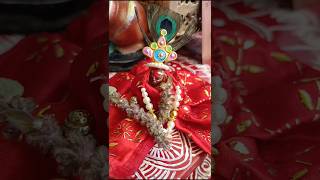 देवउठनी एकादशी के दिन अगर किया जाए यह उपाय devuthaniekadashi viralvideo [upl. by Alra129]