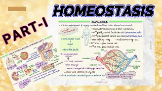 Homeostasis Partl ll What is Homeostasis The Ayu Learner ll Medical Physiology Lecture Video ll [upl. by Letsirhc13]