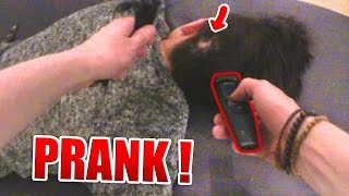 HAARE RASIEREN PRANK [upl. by Nileuqaj]