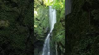 Beautiful Nature Falls at majayjay highlights nature trending [upl. by Ydnys]