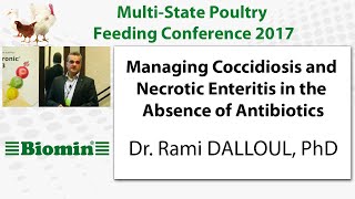 Managing Coccidiosis and Necrotic Enteritis in the Absence of Antibiotics [upl. by Anirbac]