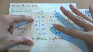 Monosacáridos o glúcidos simples [upl. by Uta]