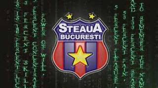 Steauacel mai tare video [upl. by Rosetta]